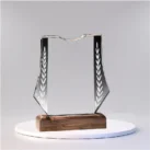 minitrophies Carved solid wood crystal award