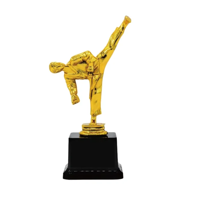 Minitrophies Taekwondo trophies